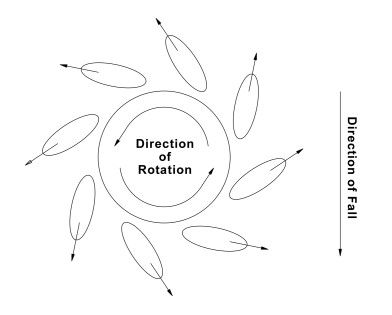 On the right hand side of the diagram is an arrow pointing down, saying 'Direction of fall'. In the centre of the diagram is a circle with a dot in the middle. Extending from the circle outwards are oval shapes, with an arrow at the farthest edge pointing away from the circle. The angle of the ovals are approx. 90 degrees to the point of escape from the circle. Inside the circle is an arrow showing the circle is rotating counterclockwise.