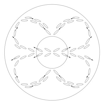 A circle of approx 2 cm diameter, sits within a larger circle of approx 10 cm. Emanating out from the smaller circle is a parade of stretched ovals in a shape somewhat resembling a cloverleaf. The origin point of the procession of ovals is the left edge of the smaller circle. From that origin point (9 o'clock ) ovals go both left and right. The ovals travelling left proceed about 6 cm outwards at which point they split up. Some go upwards, some turn donards. The ones turning gradually upwards then loop back towards the circle, rejoining it at the 12 o'clock region. The ovals that moved towards the right from the 9 o'clock, move straight across the circle towards the 3 o'clock, proceed outwards away from the smaller circle, to about 6 cm away from it, and also split up: some go up, some downwards. At 6cm the procession of small ovals turns around looping back to the circle to rejoin the circle at the 6 o'clock and 12 o'clock mark respectively. As mentioned, the diagram looks like a four leaf clover.