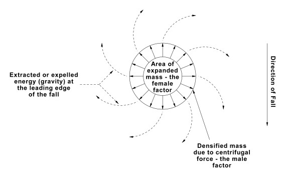 A large sphere. An arrow on the right of the sphere is pointing DOWN, labelled: 'Direction of fall'. With the sphere is a smaller one about half the size. In the centre of the spheres it says: 'Area of expanded mass - the female factor.' From the smaller sphere to the inner edge of the larger sphere are arrows at every two hours, approx. Escaping from the outer sphere are long curved lines with bubble of them. Their curves are clockwise. The bubbles on these lines are labelled 'Extracted or expelled energy (gravity) at the leading edge of the fall.' Small arrows point toward the outer edge of the larger sphere from the far right: 'Densified mass due to the centrifugal force - the male factor.'