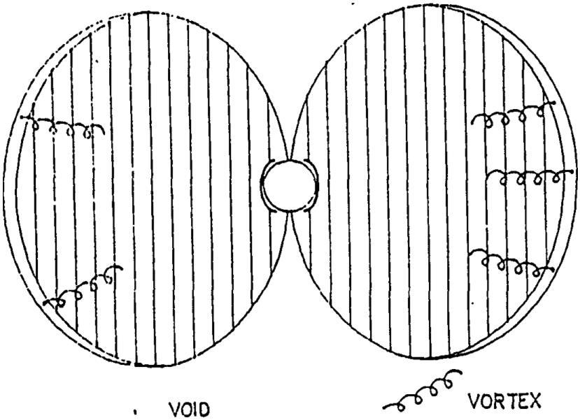 supplement Figure 7